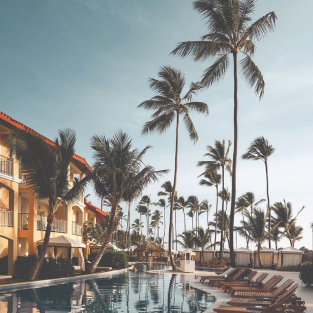Photo of a swimming pool surrounded by palm trees and facing a hotel